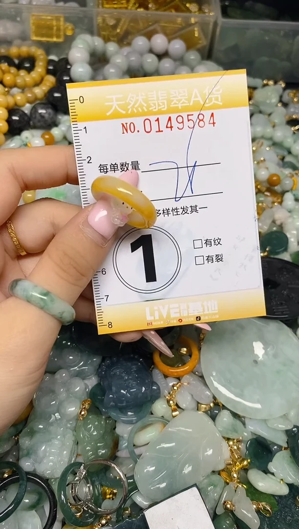 翡翠未镶嵌颈饰闪购0149584