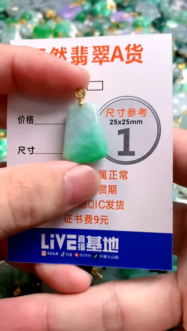 颈饰未镶嵌翡翠13005915