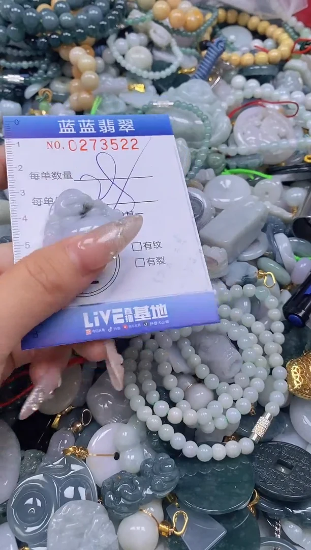 翡翠未镶嵌颈饰闪购0273522