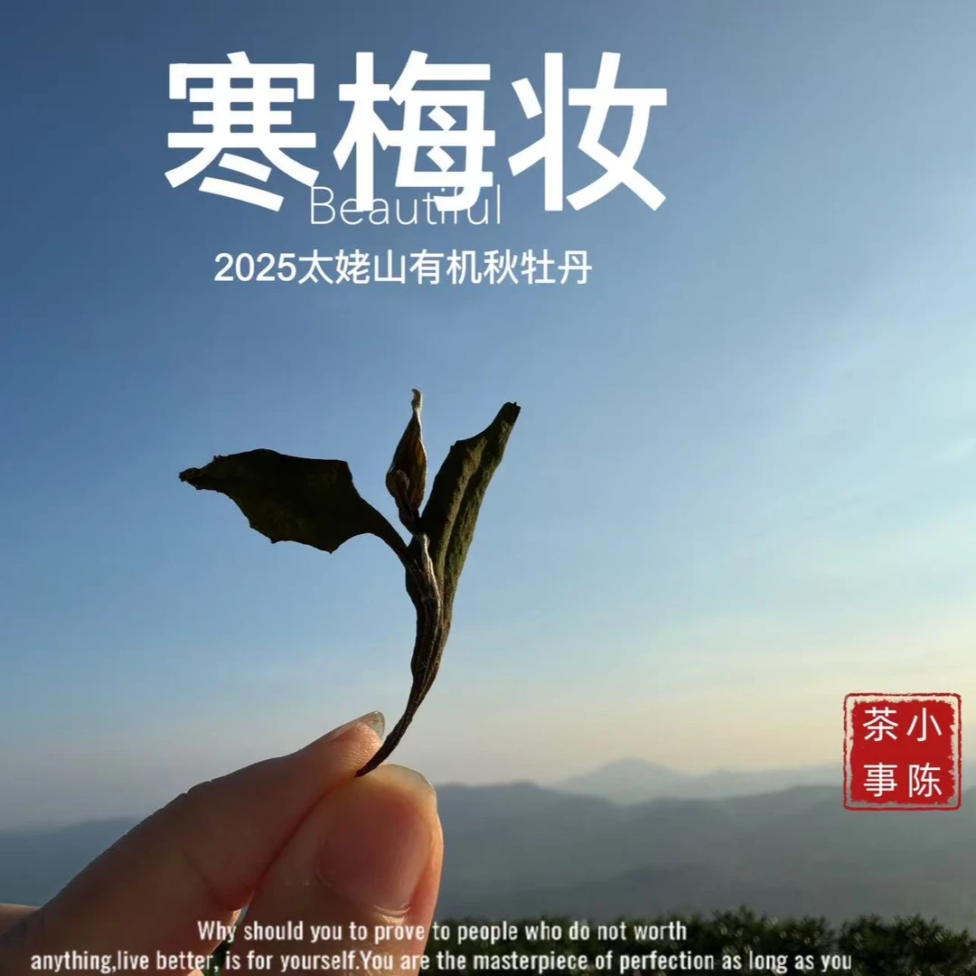 [2025秋牡丹预订]有机茶的成品，普通茶的价格，嫩、鲜、香到了心口