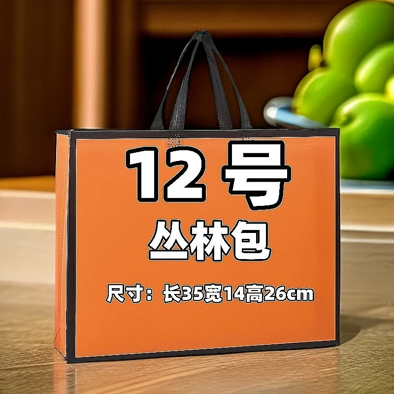 【12号】  BR 2025爆款时尚轻奢高档丛林包 B25107