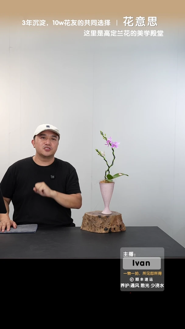 全部花朵045号链接【一物一拍】艺术盆景