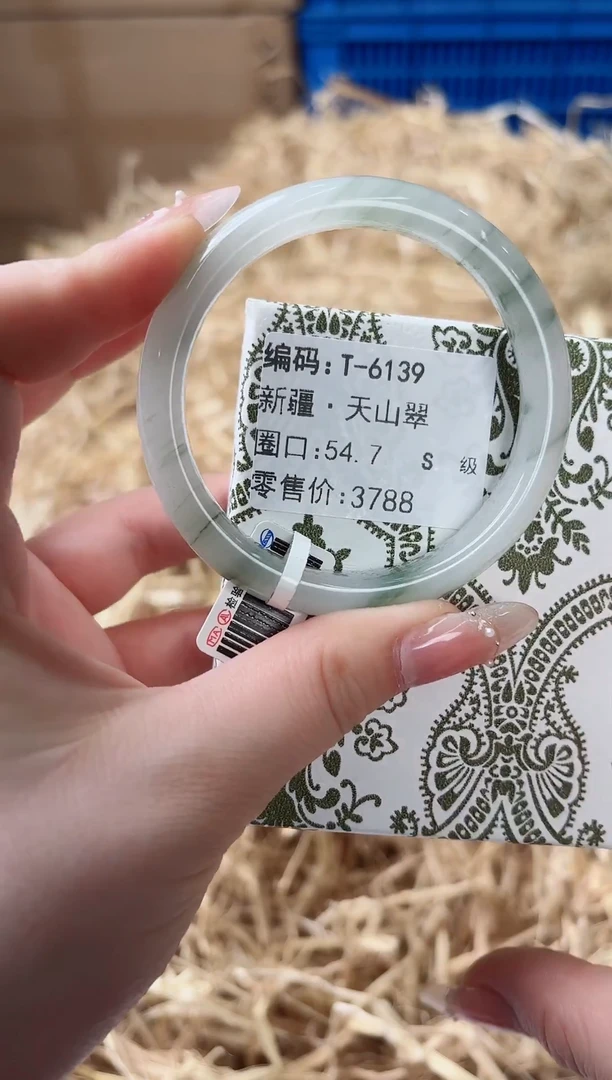 未镶嵌手镯石英质玉T-6139