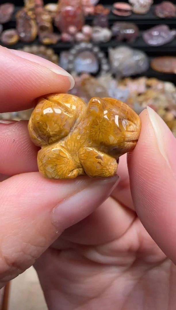 颈饰未镶嵌硅化珊瑚（珊瑚玉）745