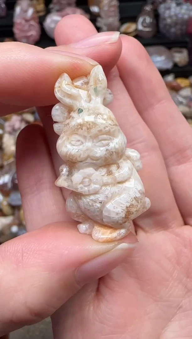 颈饰未镶嵌硅化珊瑚（珊瑚玉）351