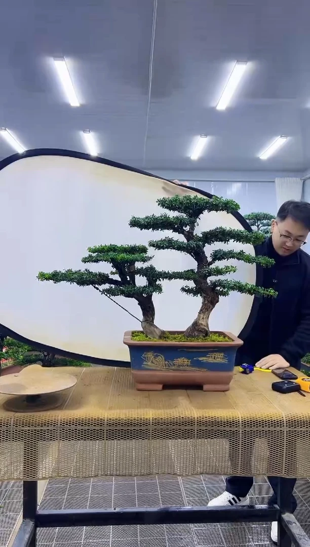 无花朵伟*00000000000000000