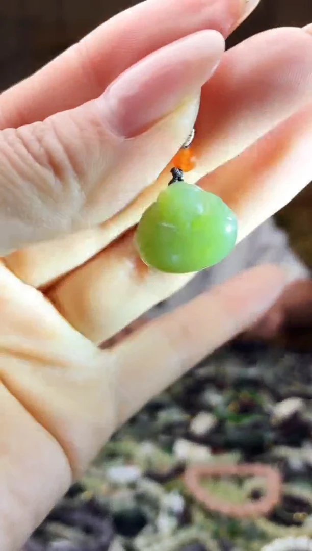 颈饰未镶嵌和田玉多样性发货，拍一发一