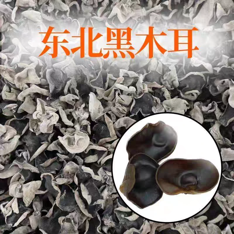 东北秋季木耳秋木耳 肉厚紧实 干净无沙