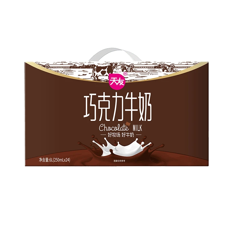 天友巧克力牛奶 250ml*24