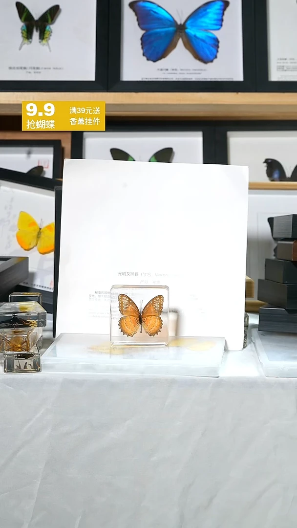 水晶蝴蝶标本12礼物