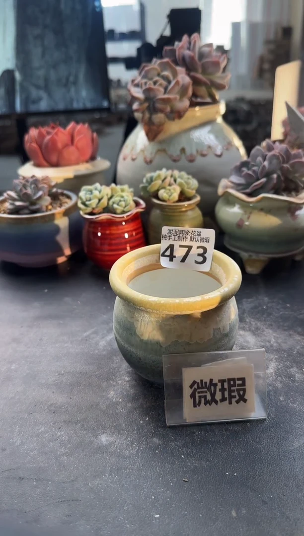 瓷片473内口径约7 外高约8