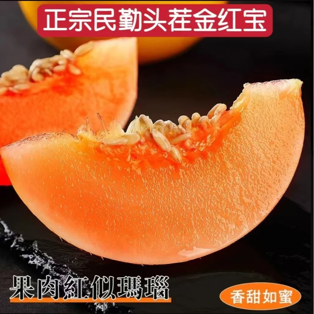 【民勤直发】甘肃民勤头茬蜜瓜金红宝黄金蜜瓜当季新鲜沙漠蜜瓜