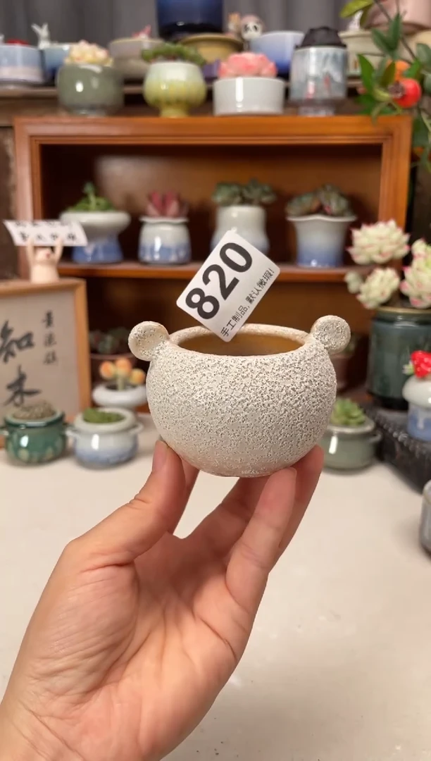 瓷片820知木小芳花盆