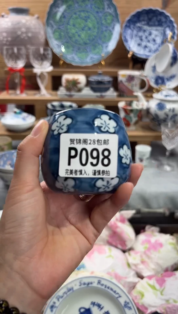 瓷片素*      P098