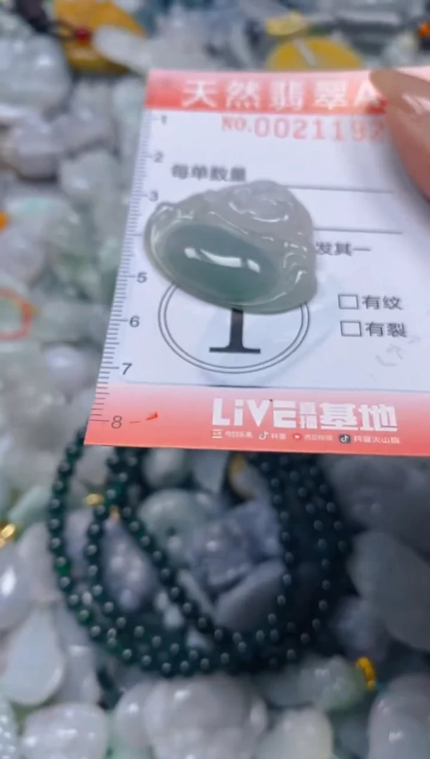 翡翠未镶嵌颈饰闪购0021192