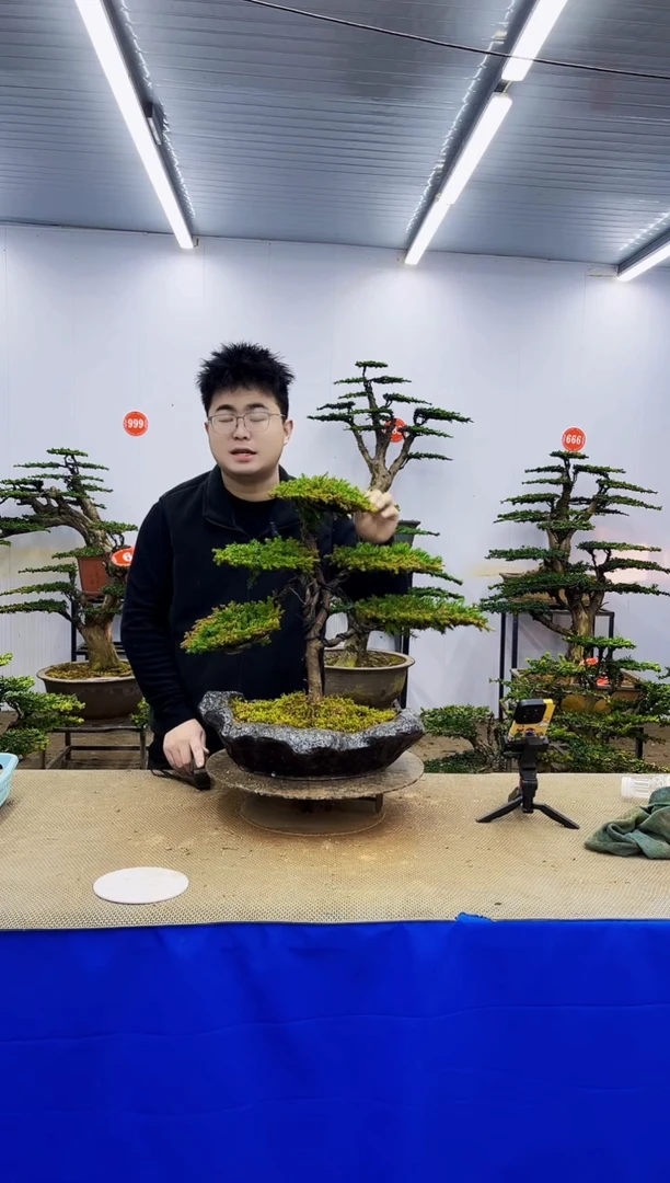 完全开放一物一拍，所见即所得