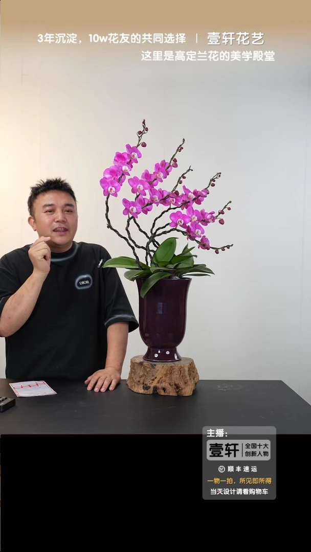 050号链接【一物一拍】艺术盆景