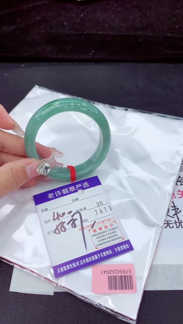 未镶嵌手镯翡翠1