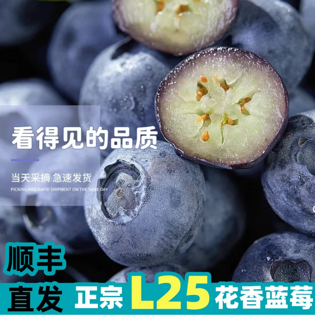 【大果 L25 2-8盒 直采蓝莓】顺丰巨大蓝莓新鲜花香蓝莓当季100g/盒
