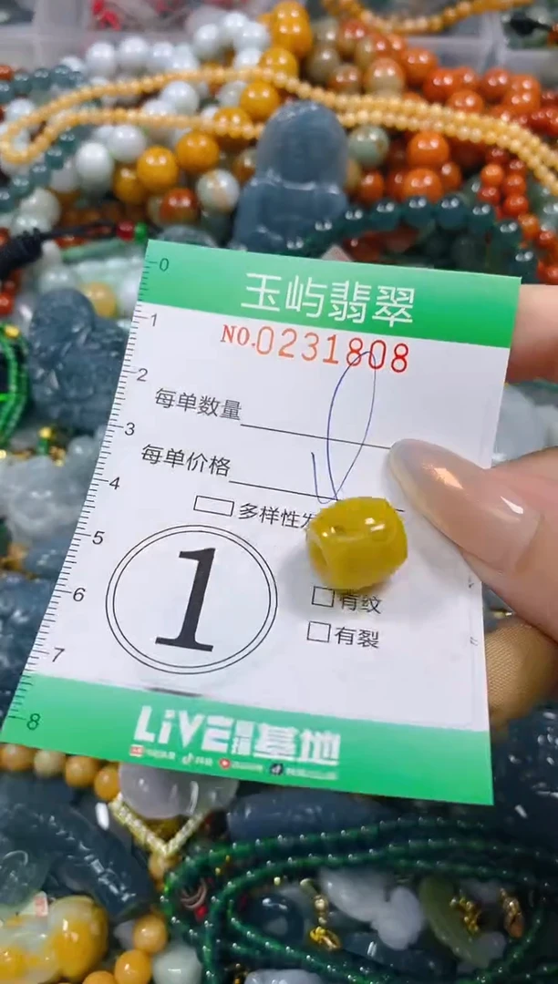 颈饰未镶嵌翡翠闪购0231808