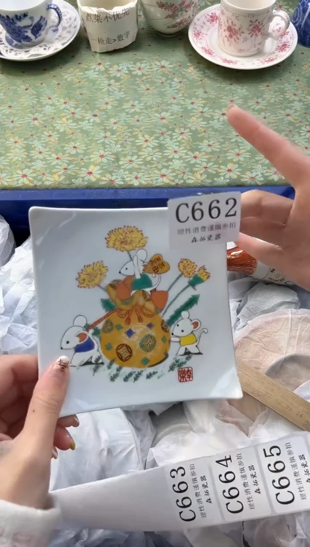 【闪购商品】瓷片          C662