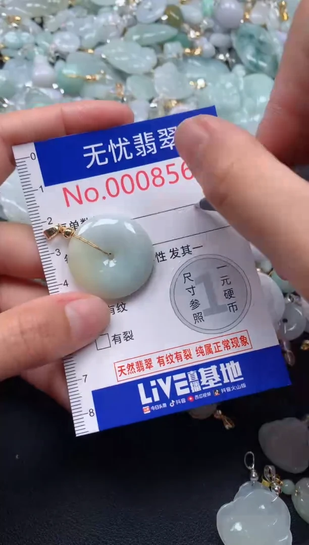 颈饰未镶嵌翡翠8566