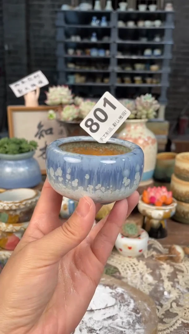 瓷片801知木小芳花盆直播编号