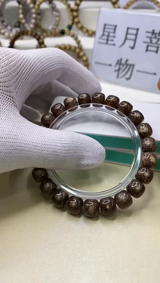 手串星月菩提一物一图-W23-173