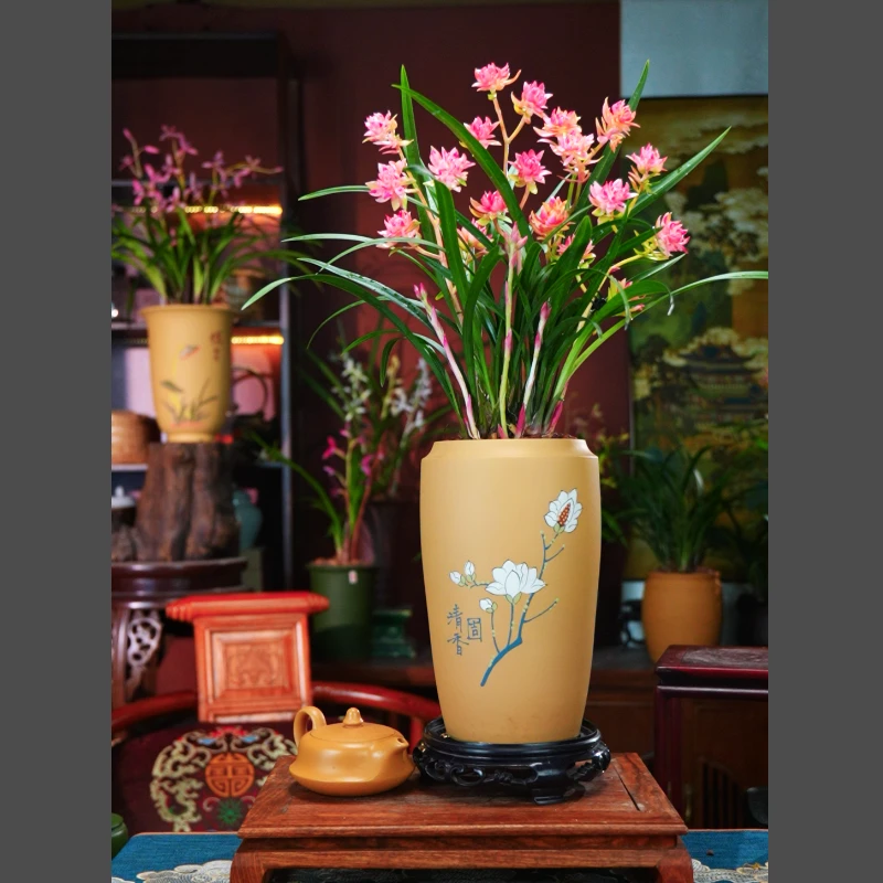 建兰浓香【禅】............正品建兰带多花剑花苞送紫砂盆兰花盆景