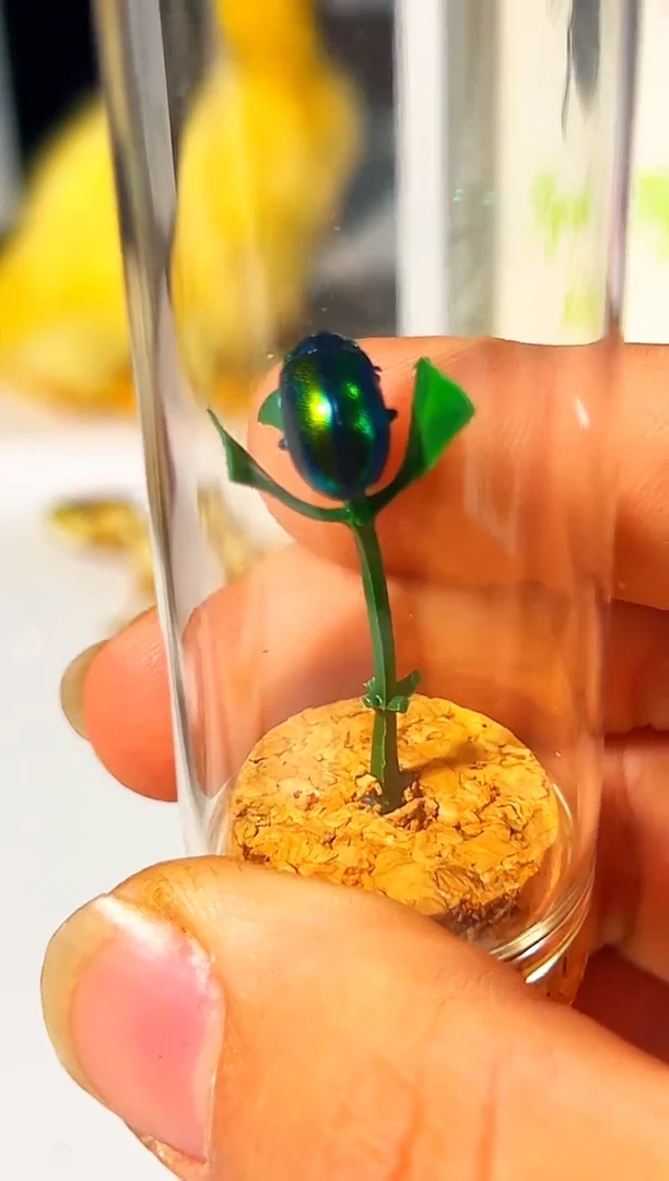 有机玻璃46165165498