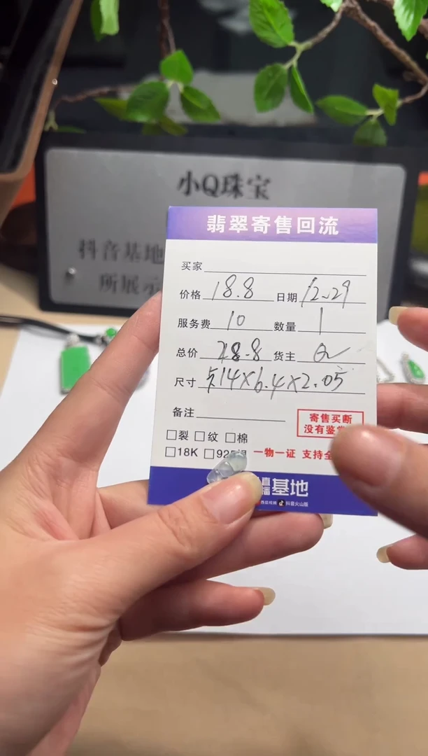 颈饰未镶嵌翡翠裸石