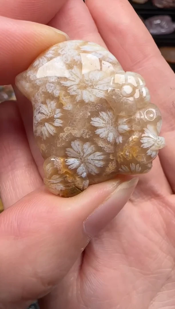 硅化珊瑚（珊瑚玉）未镶嵌颈饰151