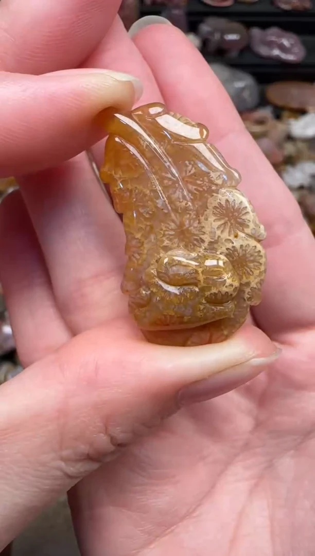 颈饰未镶嵌硅化珊瑚（珊瑚玉）181