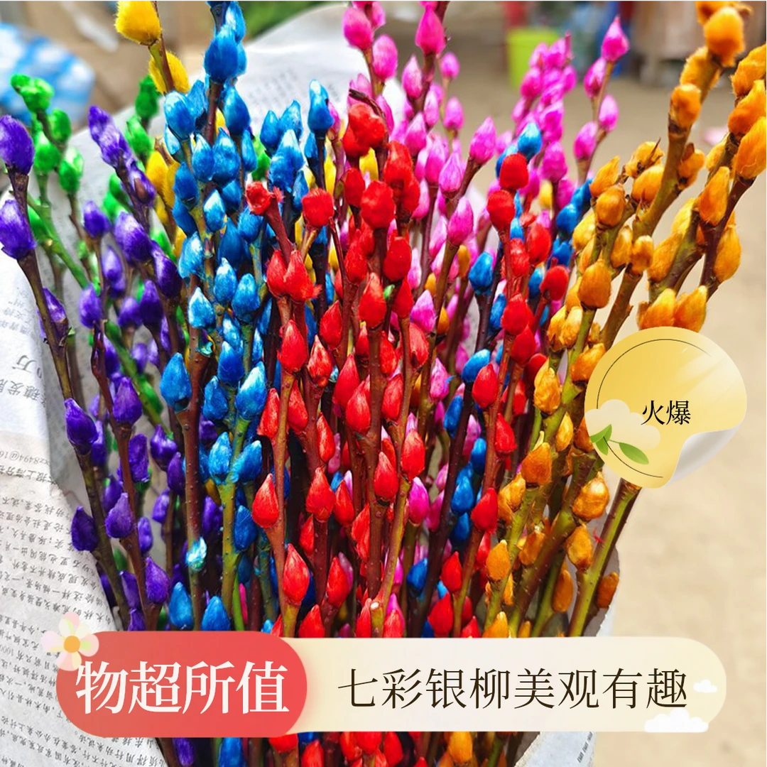 年宵花精品七彩银柳染色干花鲜切枝福桶材料红色花期久可水养热卖