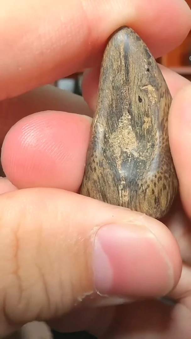 沉香吊坠234号天然野沉水挂件多样性发一
