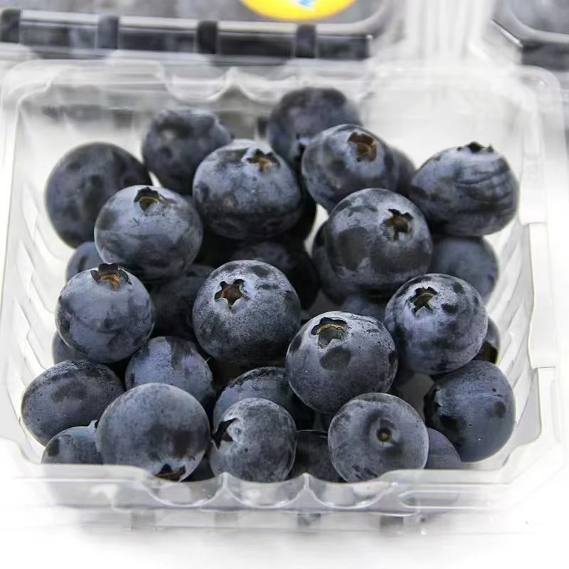 怡颗莓蓝莓中果 1盒