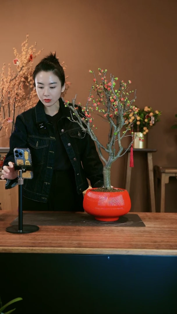 【闪购商品】盆景海棠花