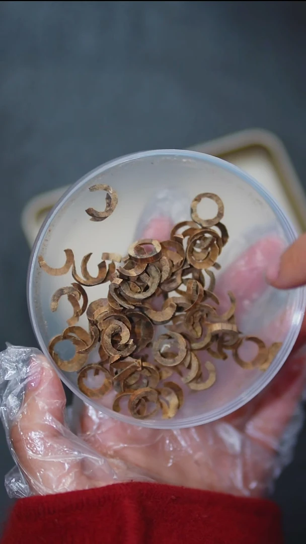 沉香沉香碎屑泰国料圈圈2克