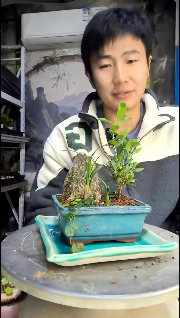 杲*中青园艺一物一拍31