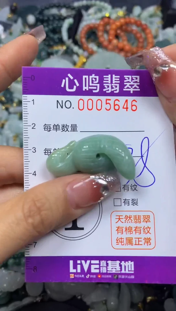 【闪购商品】翡翠颈饰未镶嵌闪购005646