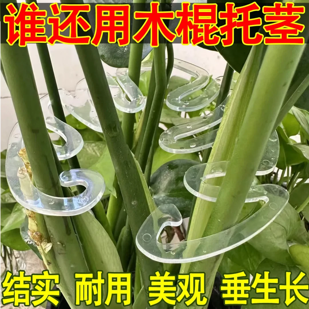 植物防倒伏花架支撑杆花支撑架枝干收拢架植物绿植固定神器花架