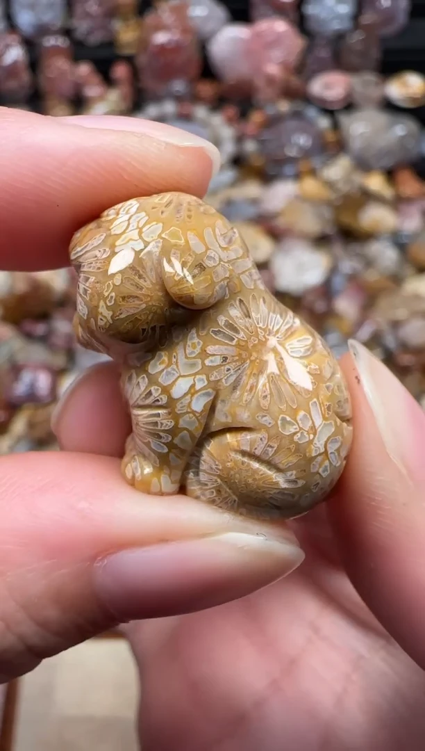 颈饰未镶嵌硅化珊瑚（珊瑚玉）634