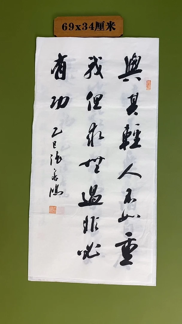 书法书法 张若鸿 尺寸69cm*34cm