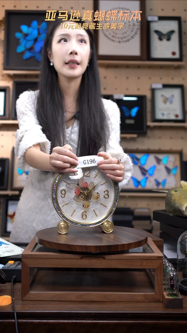 蝴蝶标本摆件竞拍g196