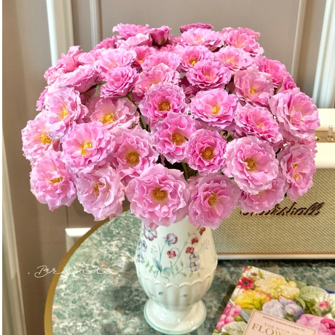 云斗幻梦【高级多头玫瑰】该品不耐运输 尽量凑单升级顺丰快递冷链