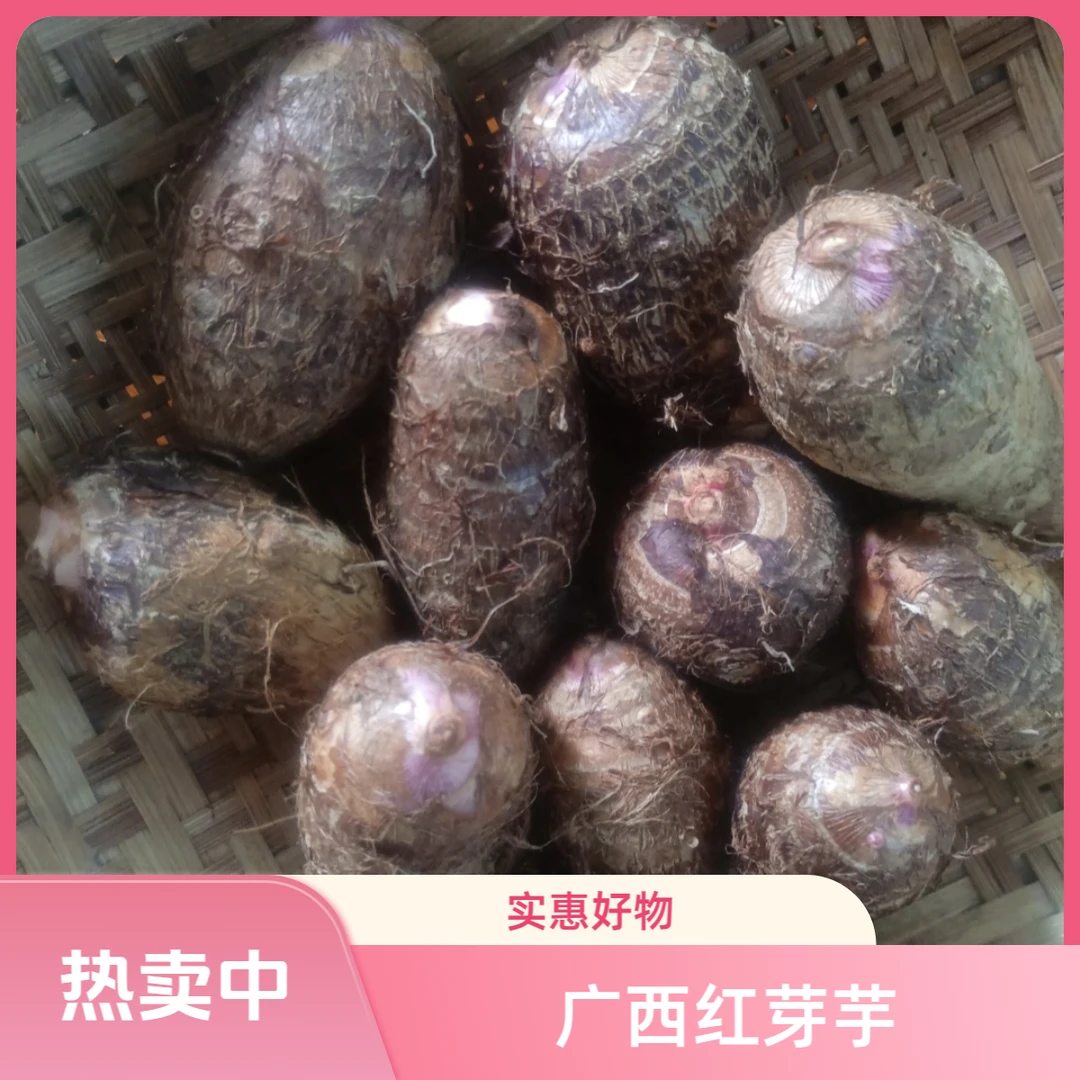正宗广西高山红芽芋头芋艿芋仔产地直发新鲜超值好物