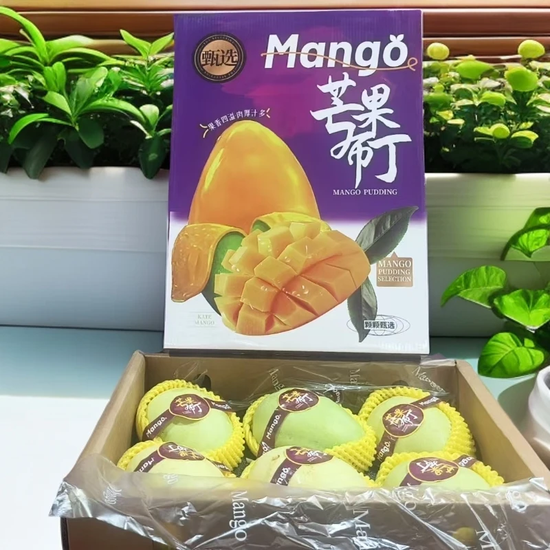 芒果布丁 白凯特芒果  带箱9-9.5斤左右