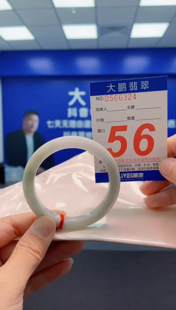 未镶嵌手镯翡翠AAAAAAAAA
