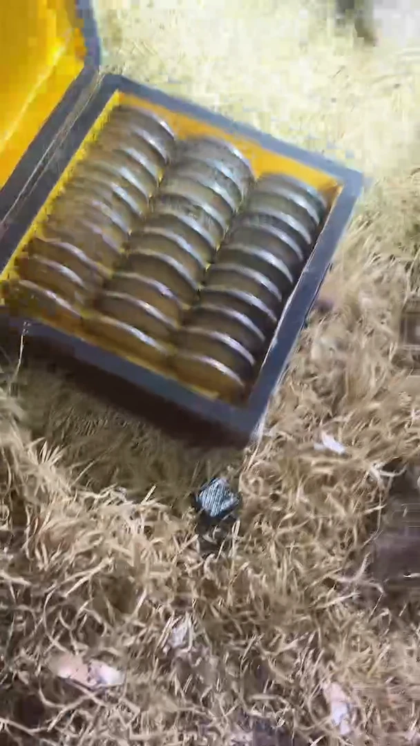 香榧木1个开封红色大期小盒子摆件链接30彩