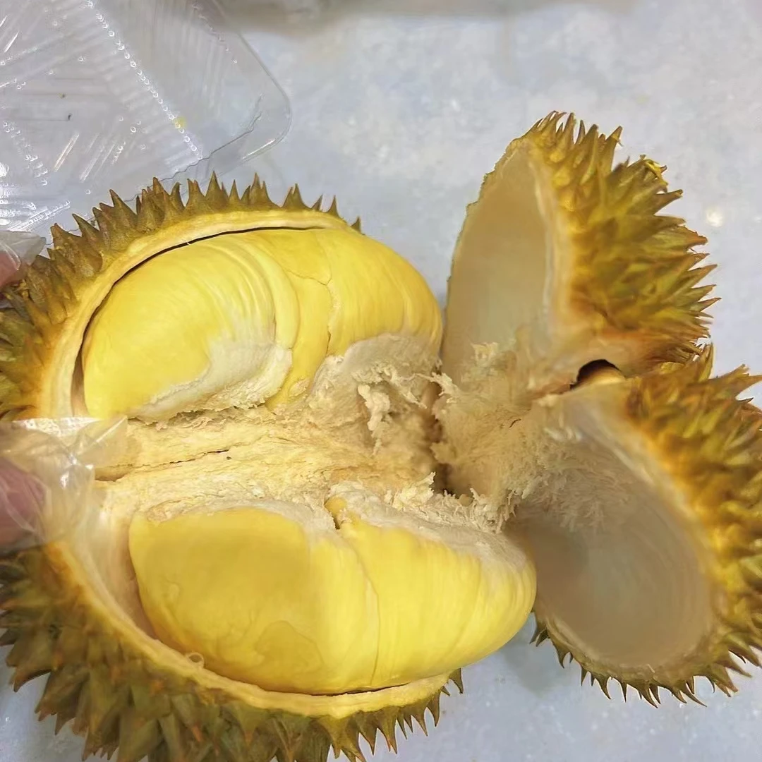 大嘴鸟空运树熟金枕鲜榴莲保干包核小皮薄一果一重金枕泰国
